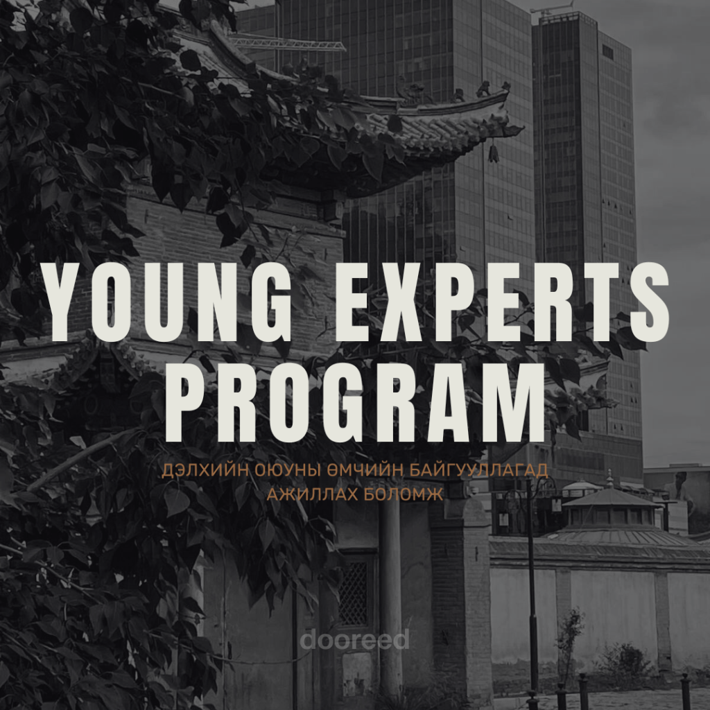 Олон улсын байгууллагад ажиллах&nbsp;боломж